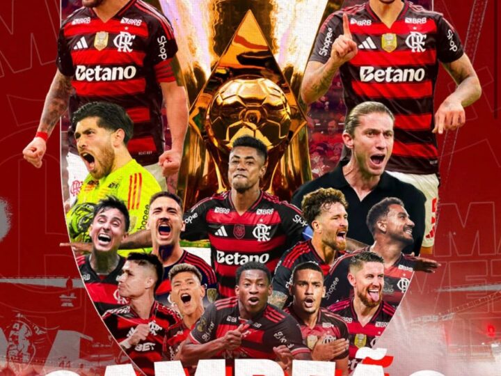 Campeão: Flamengo conquista o nono título brasileiro