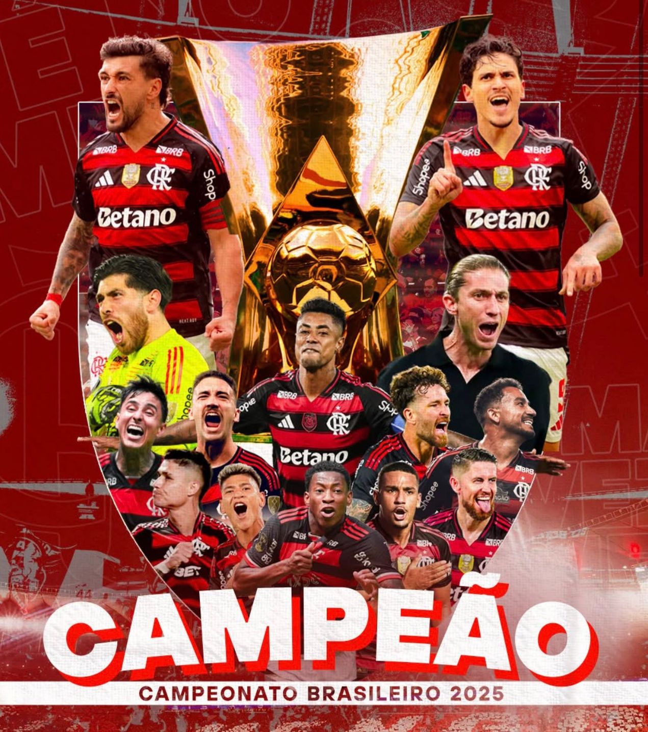 Campeão: Flamengo conquista o nono título brasileiro