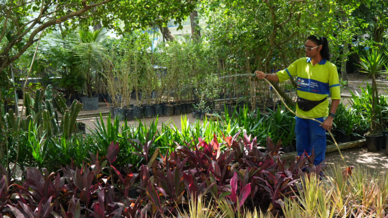 São Gonçalo reforça ações de paisagismo com novos canteiros e jardins