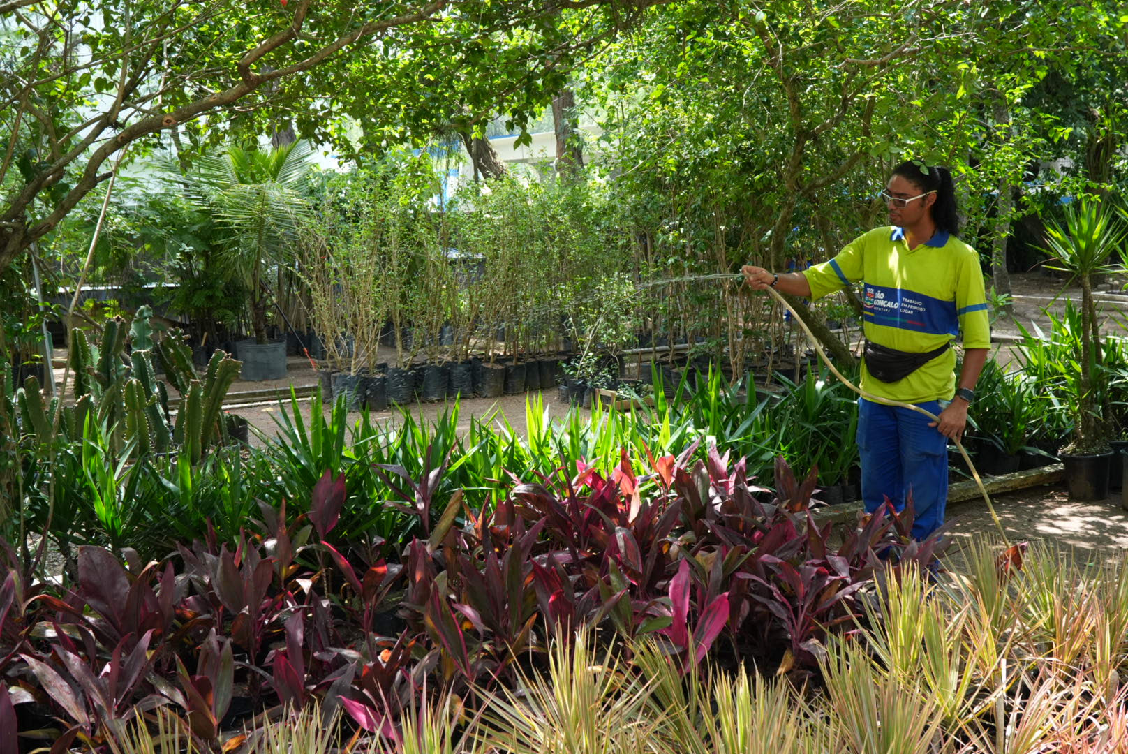 São Gonçalo reforça ações de paisagismo com novos canteiros e jardins