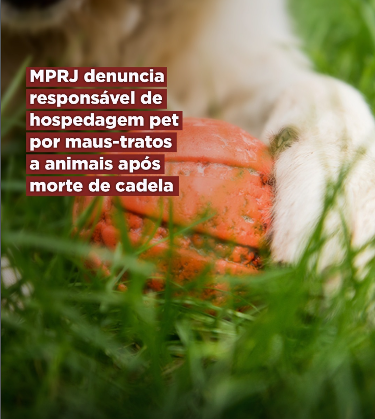 MPRJ denuncia por maus-tratos responsável por hospedagem pet onde cadela morreu em Guaratiba 