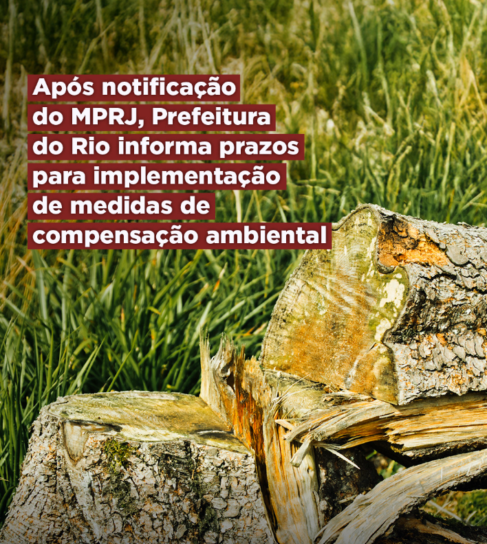 Após notificação do MPRJ, Prefeitura do Rio informa prazos para implementação de medidas de reforço para a compensação ambiental
