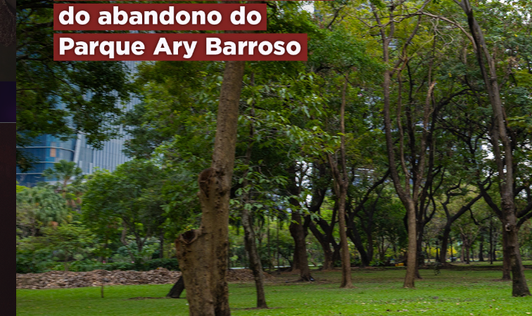 MPRJ entra com ação civil pública em razão do abandono do Parque Ary Barroso 