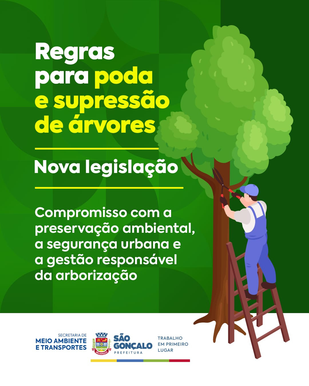 São Gonçalo moderniza regras para poda e supressão de árvores