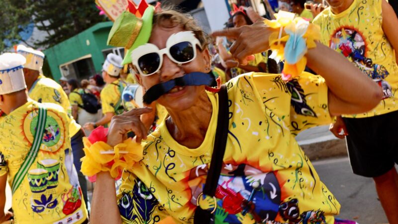 Com enredo “CAPS não é meme”, Bloco Loucos pela Vida desfila nesta terça-feira (10) em Niterói
