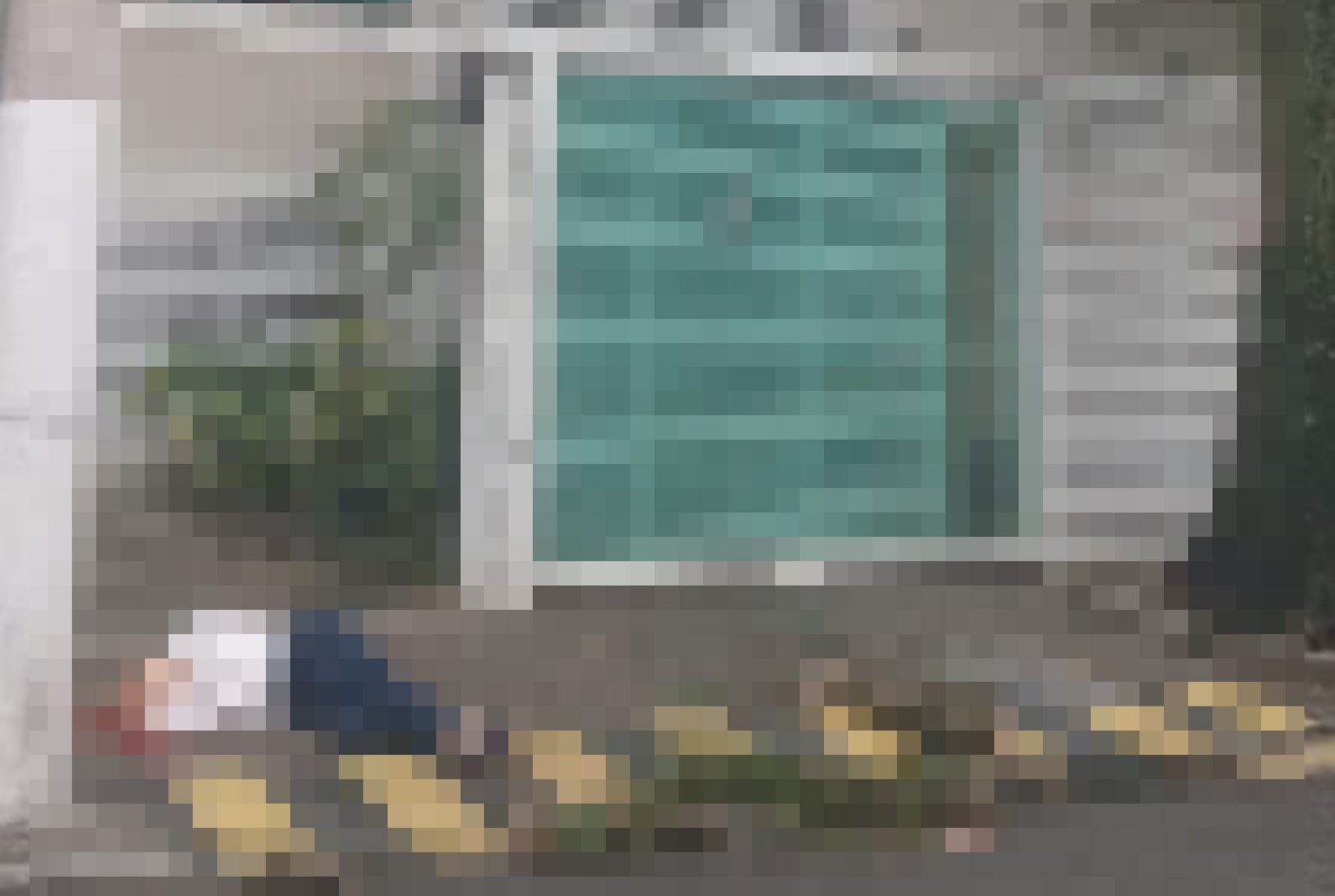 Tragédia em Icaraí: idosa de 73 anos morre após ser atingida por galho de árvore em Niteroi