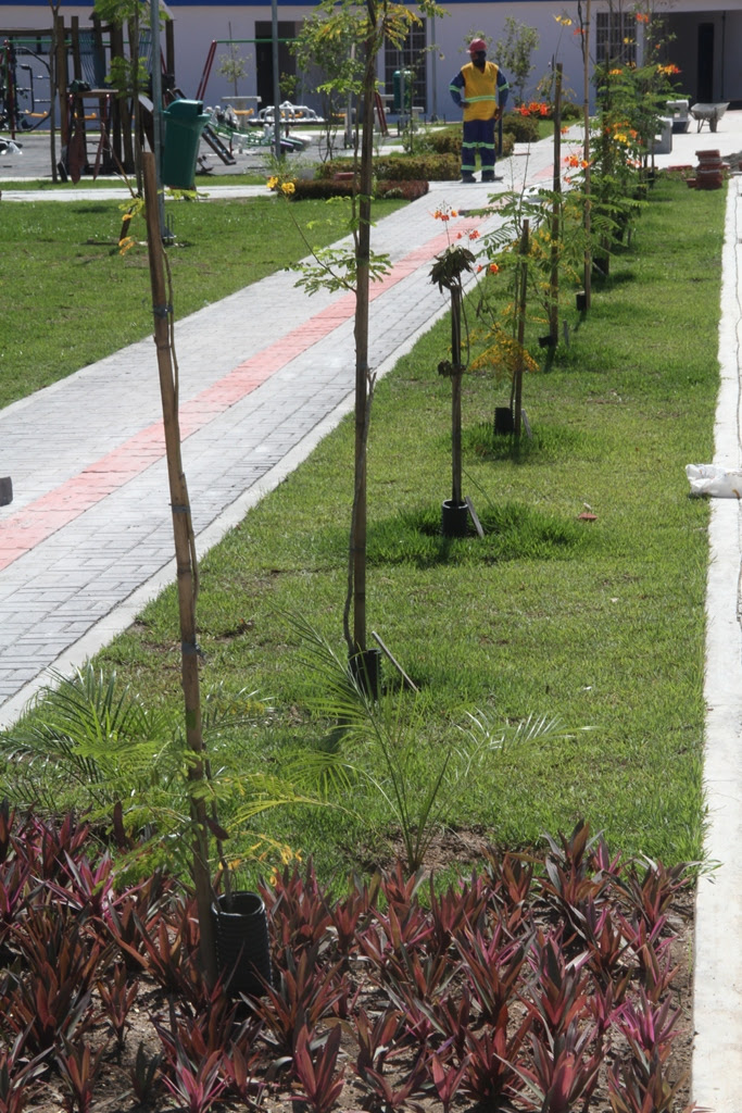 Parque RJ São Gonçalo já recebeu mais de 10 mil mudas de arbustos e plantas