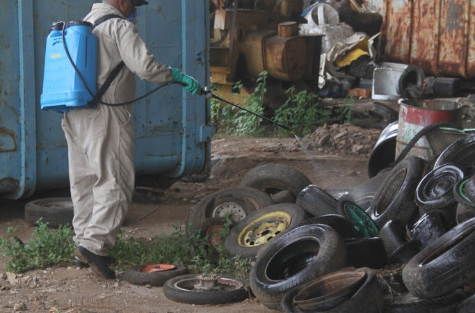 Vigilância Ambiental reforça ações em ferros-velhos, cemitérios e depósitos no combate ao Aedes aegypti