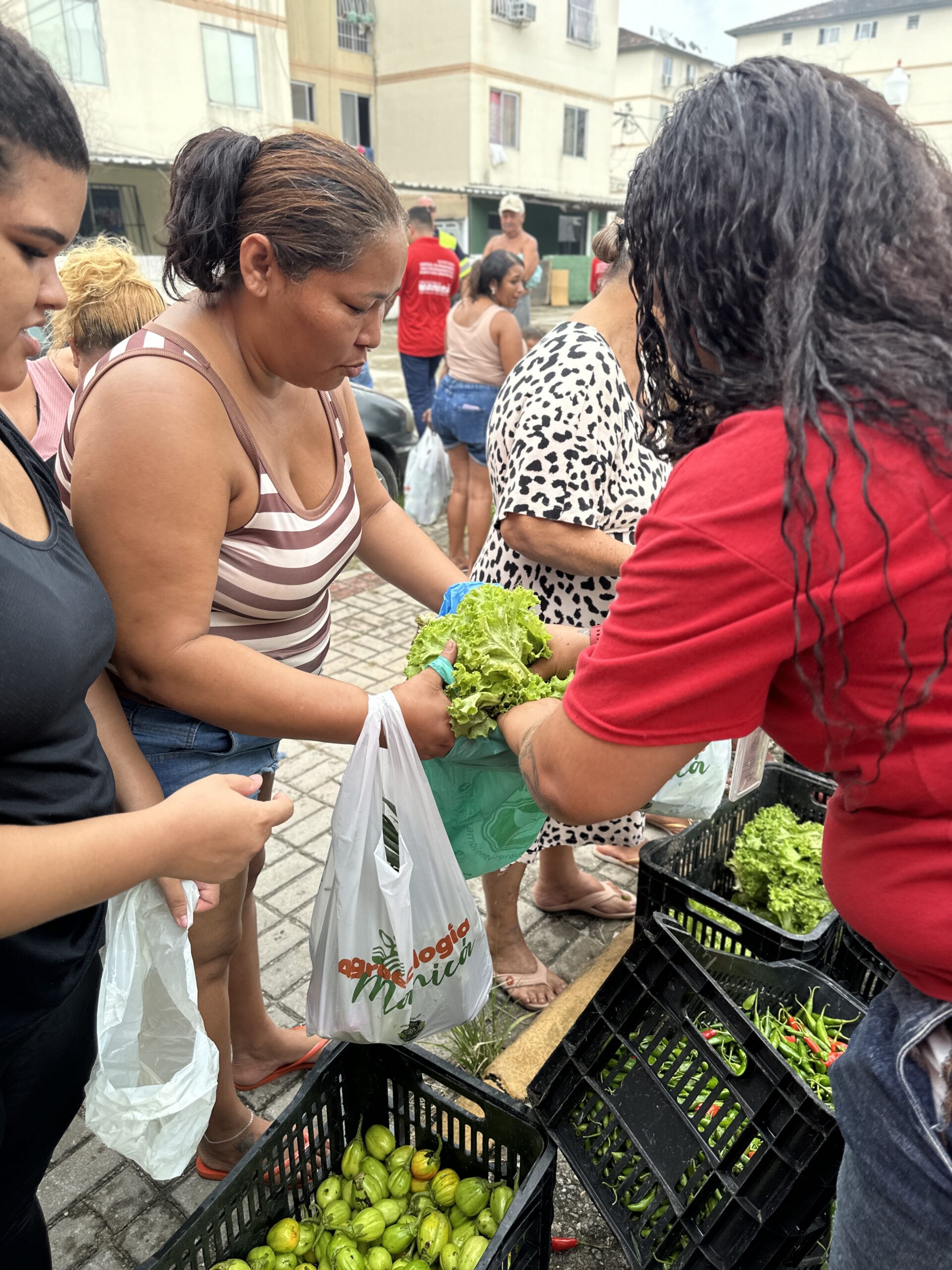Prefeitura de Maricá lança ônibus itinerante para distribuição de hortaliças nos bairros