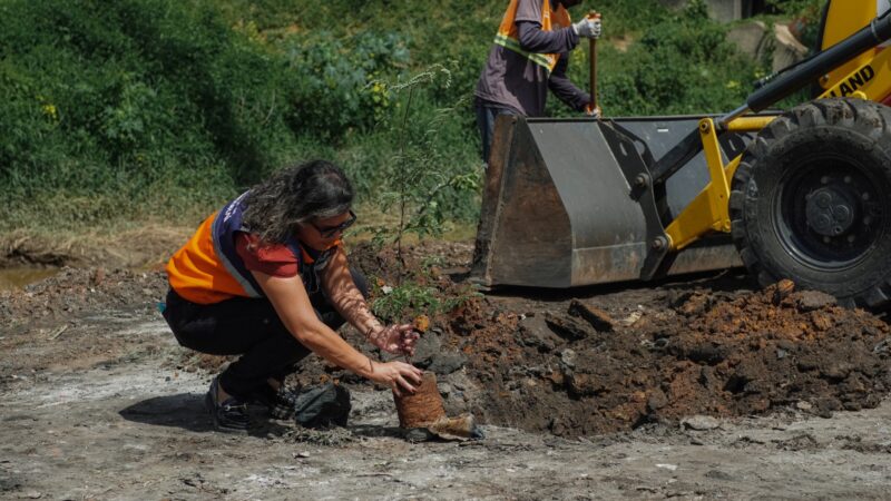 Itaboraí realiza plantio e reurbanização às margens do Rio Macacu, em Porto das Caixas