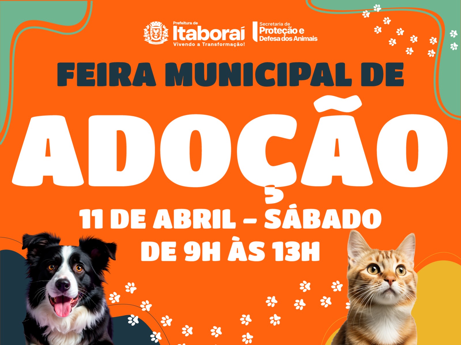 1ª Feira Municipal de Adoção promove encontro entre animais e novos lares em Itaboraí