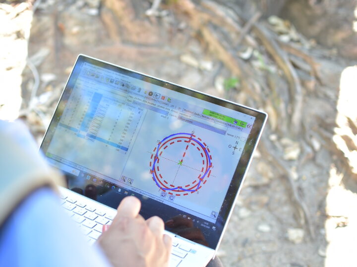 Tomografia é usada em árvores com risco em Niterói e reforça segurança urbana