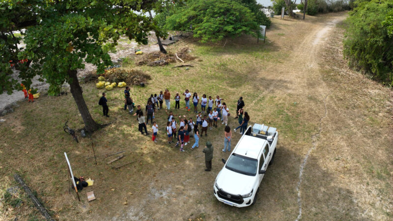 Prefeitura de Niterói realiza ação de recuperação ambiental no Parque Natural Municipal Morro do Morcego