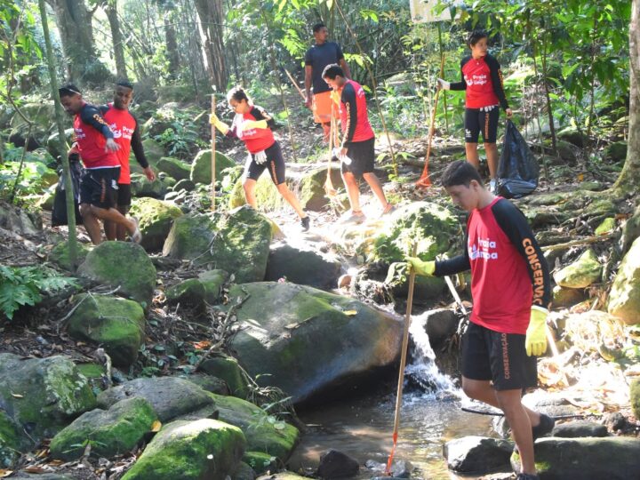 Maricá celebra Dia da Mata Atlântica com mais de 100 mil mudas plantadas e passeios ecológicos gratuitos
