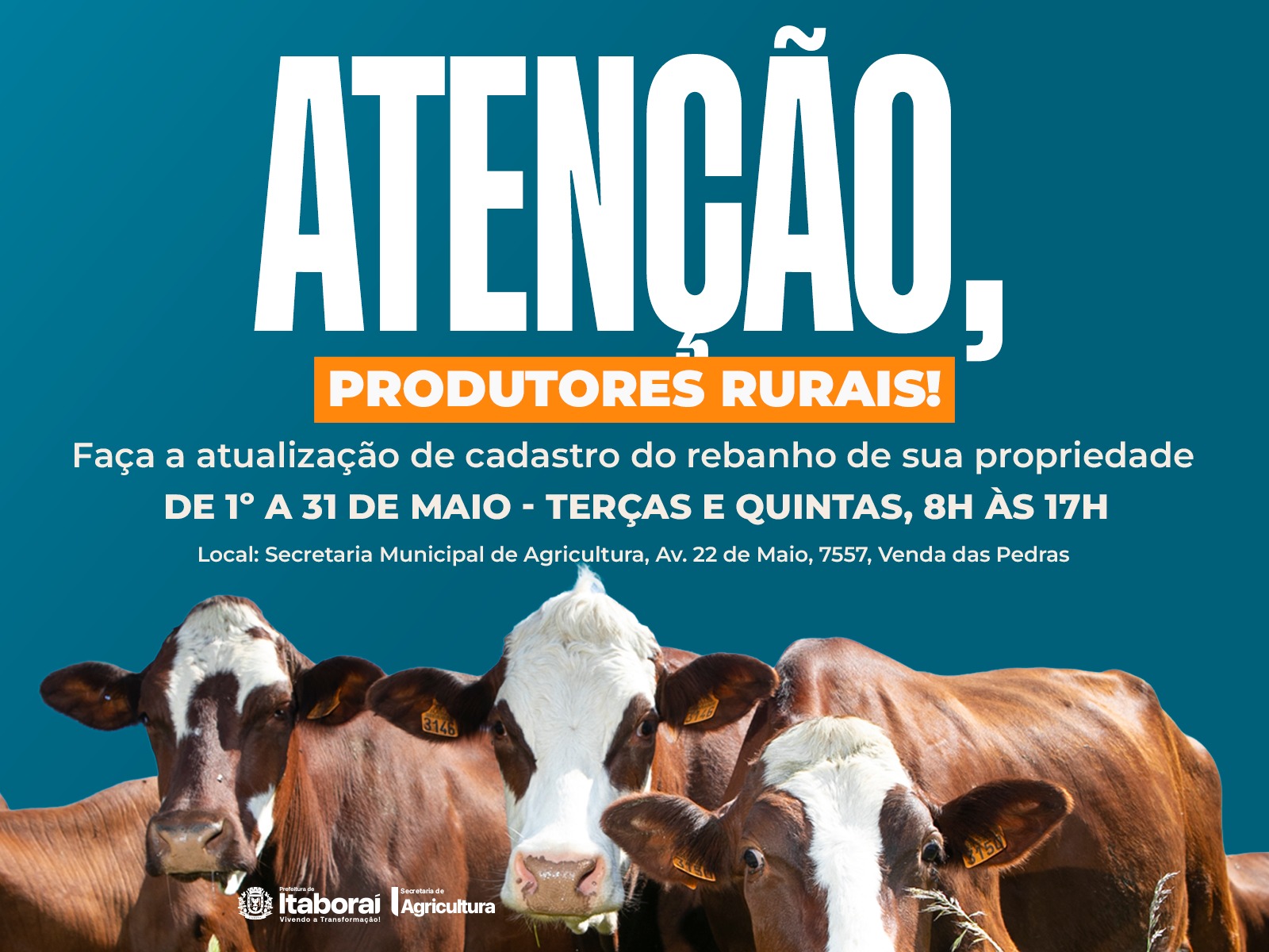 Produtores rurais devem atualizar cadastro de rebanho para garantir regularidade sanitária em Itaboraí