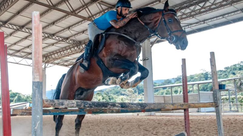 Parque Rural de Niterói recebe campeonato hípico com provas de salto e entrada gratuita