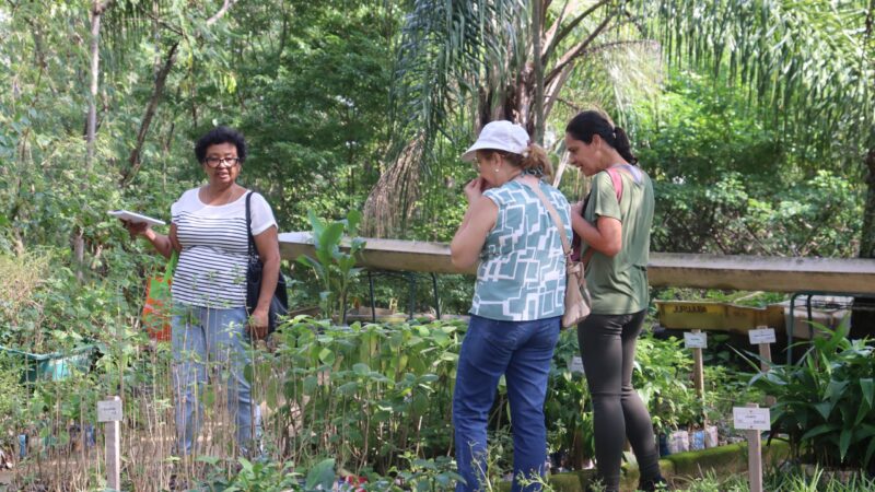 Viveiro de mudas da Clin amplia visitação e fortalece preservação ambiental em Niterói