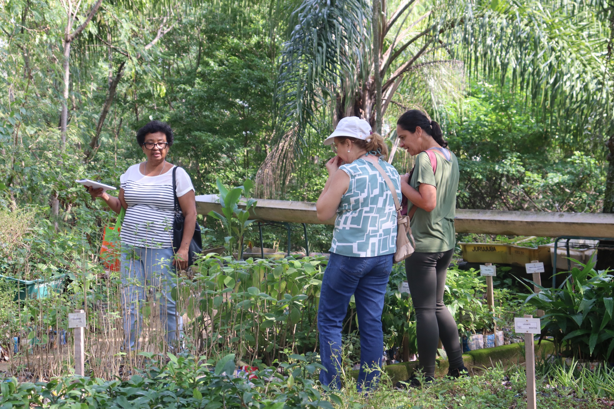 Viveiro de mudas da Clin amplia visitação e fortalece preservação ambiental em Niterói