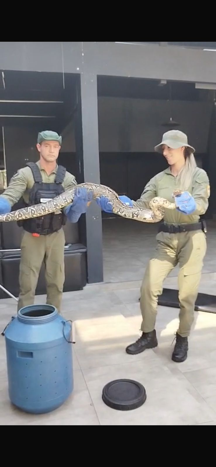 Guarda Ambiental resgata duas cobras na Região Oceânica de Niterói