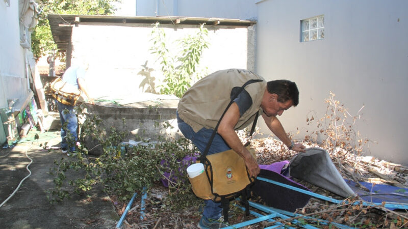 São Gonçalo mantém baixo risco de contaminação da dengue