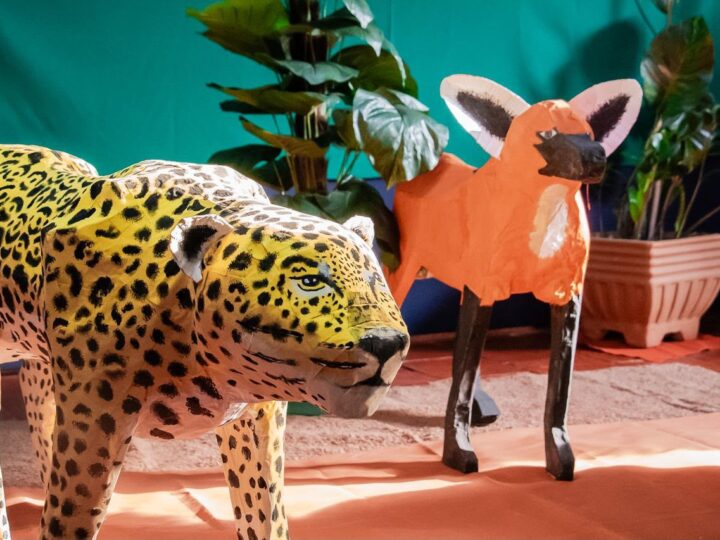 Exposição “Biodiversidade em Risco” é aberta na CCHAT com obras produzidas com ajuda de alunos da rede municipal