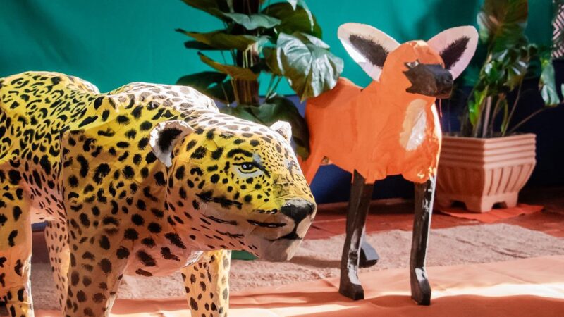 Exposição “Biodiversidade em Risco” é aberta na CCHAT com obras produzidas com ajuda de alunos da rede municipal