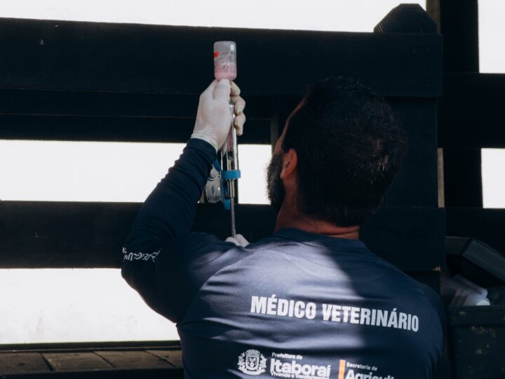 Vacinação antirrábica e contra brucelose reforça proteção dos rebanhos em propriedades rurais de Itaboraí