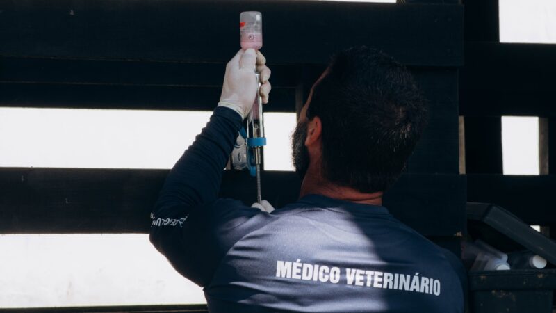 Vacinação antirrábica e contra brucelose reforça proteção dos rebanhos em propriedades rurais de Itaboraí