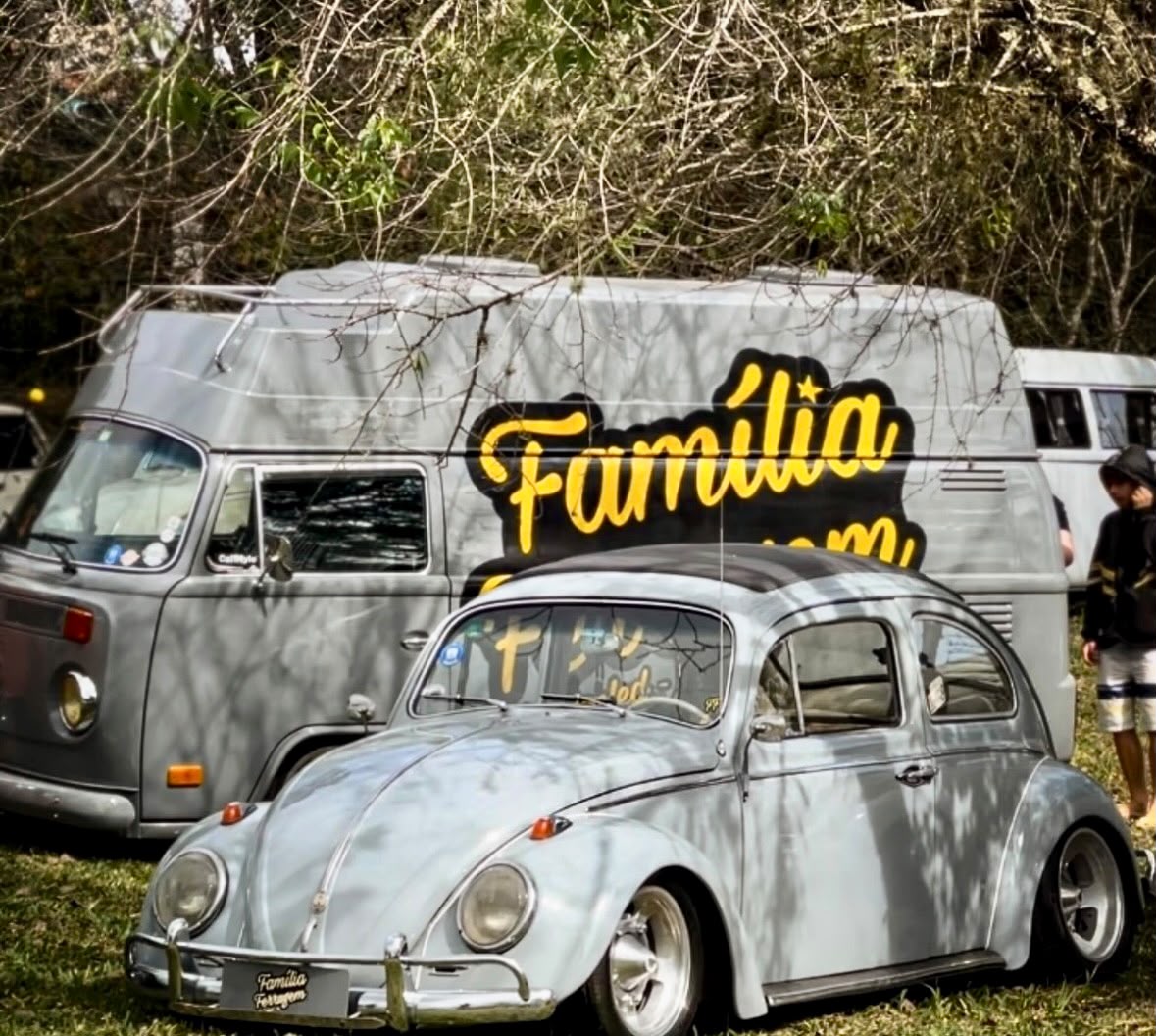 Dia Mundial do Fusca será comemorado no Horto do Barreto com solidariedade, música e exposição de veículos