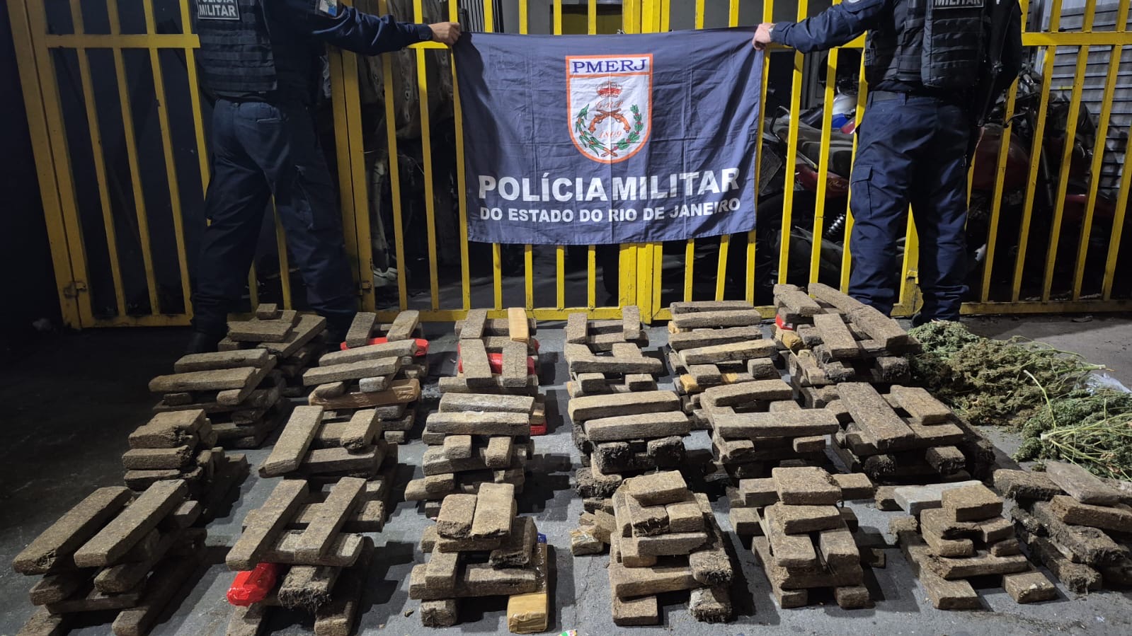 7º BPM apreende 200 quilos de maconha e encontra estufa usada para cultivo da droga no Jardim Catarina, em São Gonçalo