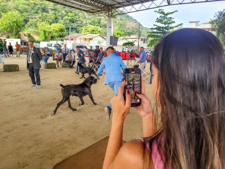 Parque Rural de Niterói reúne exposição de Cães de Raça, competição nacional, adoção responsável e serviços gratuitos