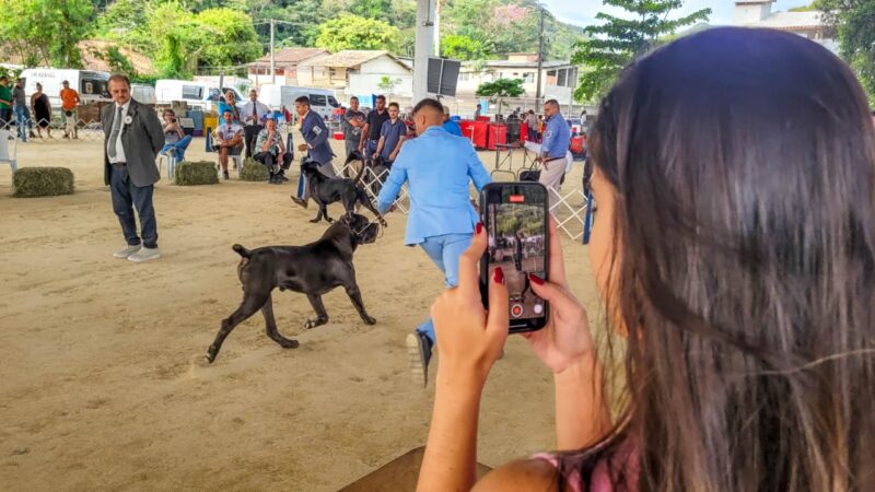 Parque Rural de Niterói reúne exposição de Cães de Raça, competição nacional, adoção responsável e serviços gratuitos