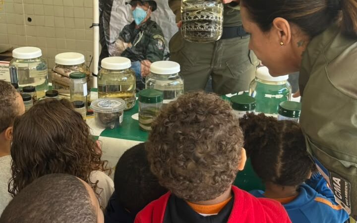 Educação ambiental reforça prevenção a queimadas nas escolas de Niterói