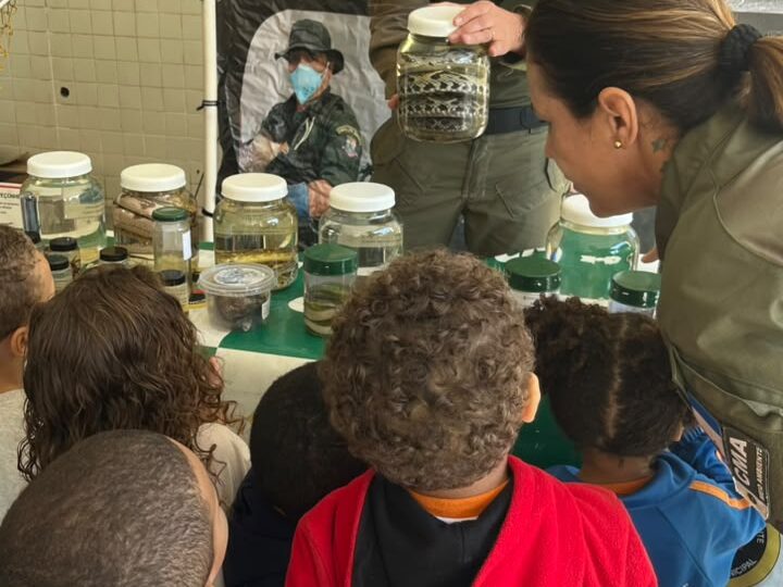 Educação ambiental reforça prevenção a queimadas nas escolas de Niterói