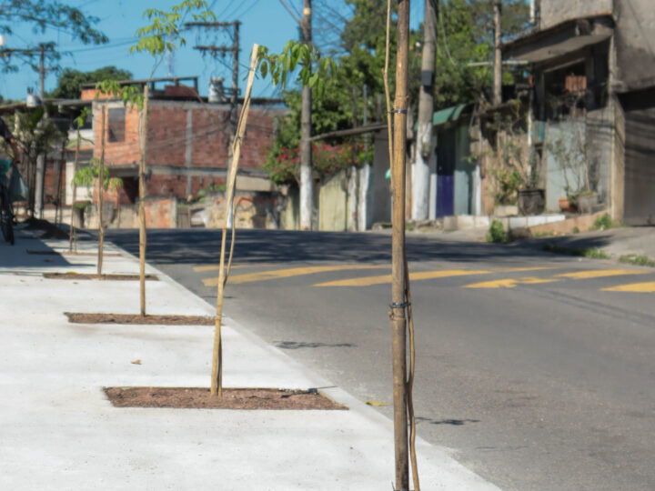 Obras de revitalização de calçadas no Mutuapira recebem paisagismo