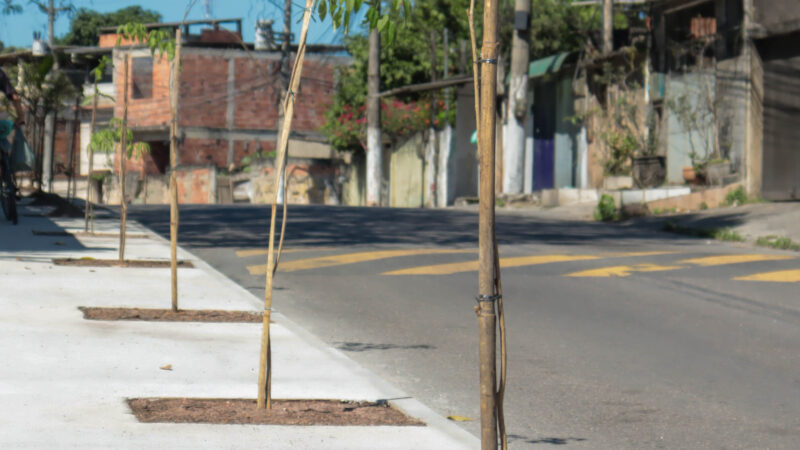 Obras de revitalização de calçadas no Mutuapira recebem paisagismo