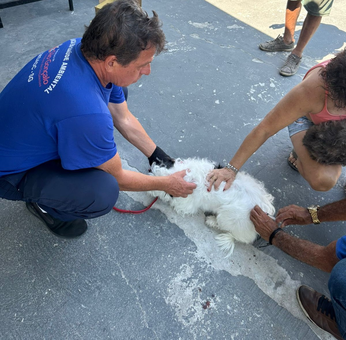 São Gonçalo vacina cães e gatos contra raiva neste sábado