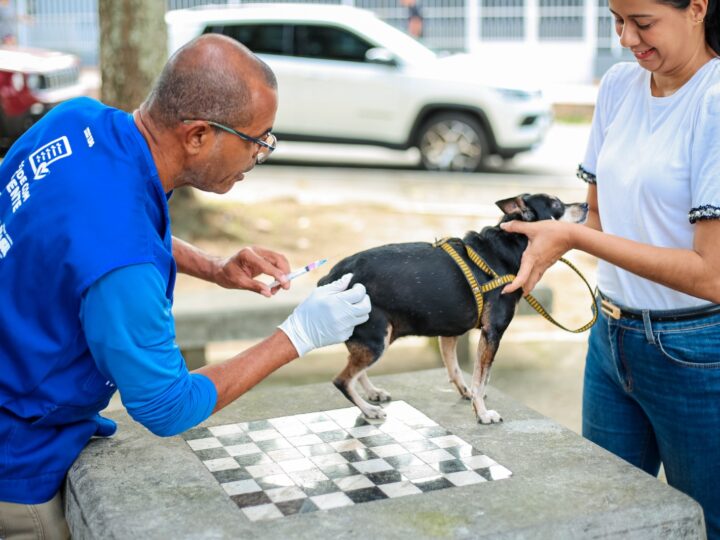 Itaboraí inicia vacinação antirrábica gratuita para cães e gatos