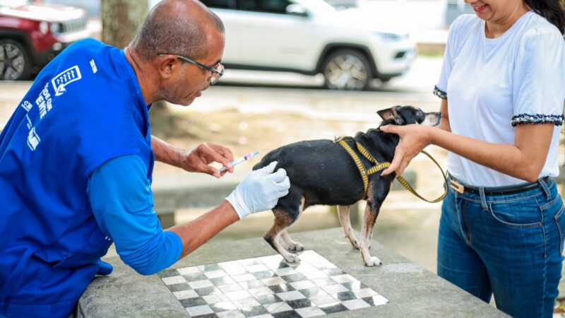 Itaboraí inicia vacinação antirrábica gratuita para cães e gatos
