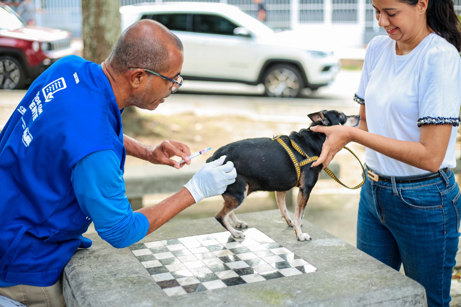 Itaboraí inicia vacinação antirrábica gratuita para cães e gatos