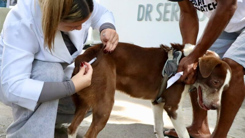 Vacinação antirrábica para cães e gatos chega à Região Oceânica e Pendotiba neste sábado (26)
