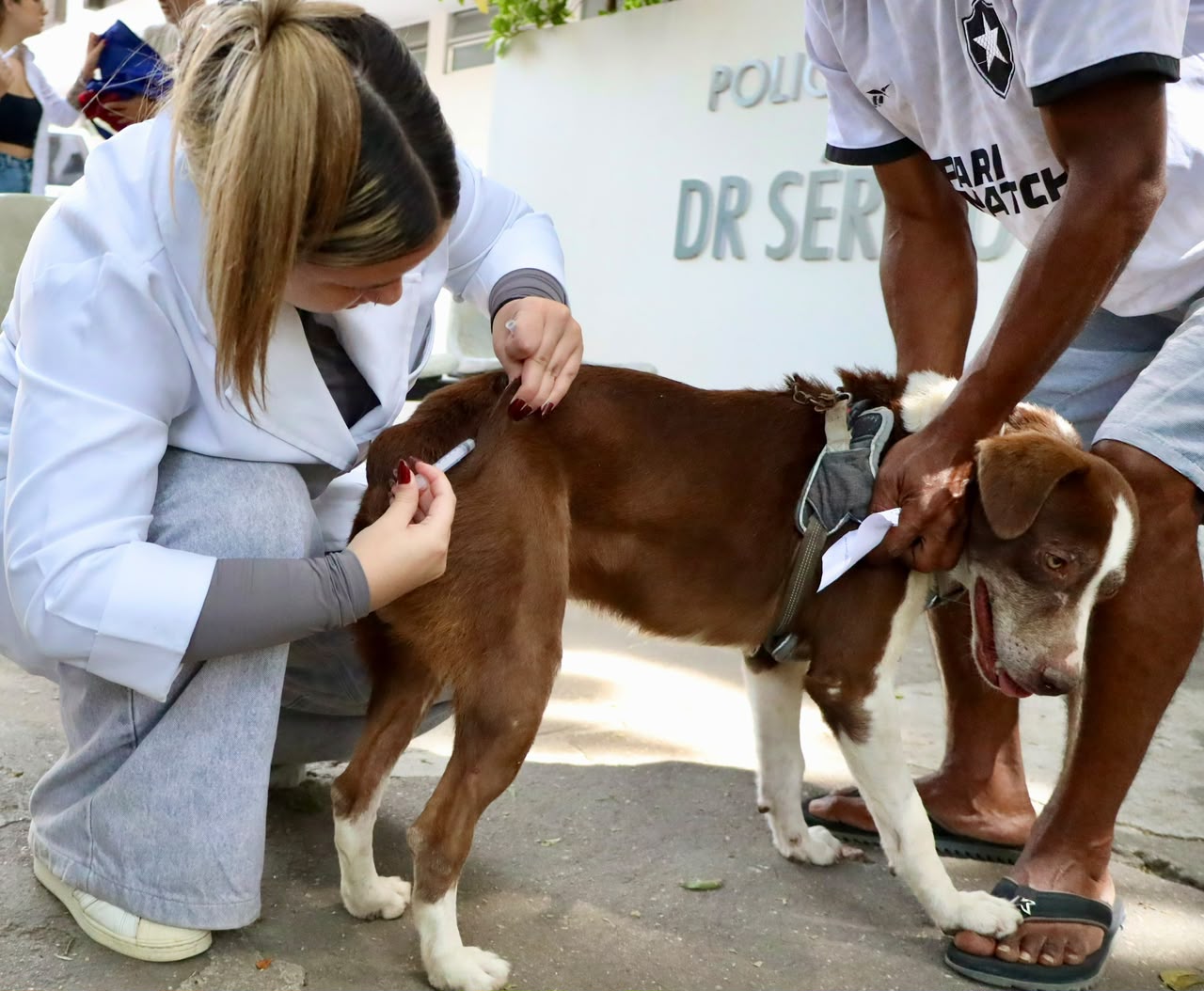 Vacinação antirrábica para cães e gatos chega à Região Oceânica e Pendotiba neste sábado (26)