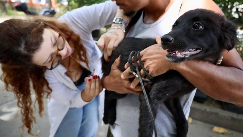 Campanha de Vacinação Antirrábica Animal chega à Zona Norte de Niterói neste sábado (19)