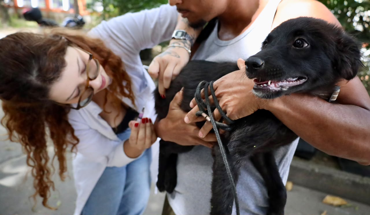 Campanha de Vacinação Antirrábica Animal chega à Zona Norte de Niterói neste sábado (19)