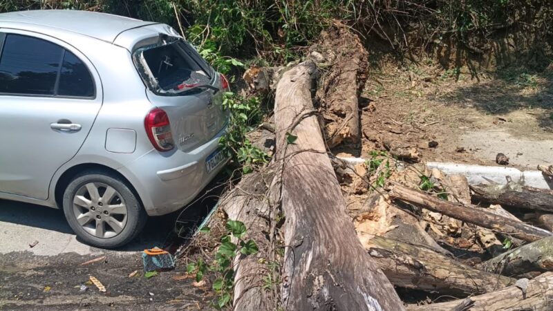 ÁRVORE CAI SOBRE CARRO NO CARAMUJO E MOTORISTA QUESTIONA PREJUÍZO