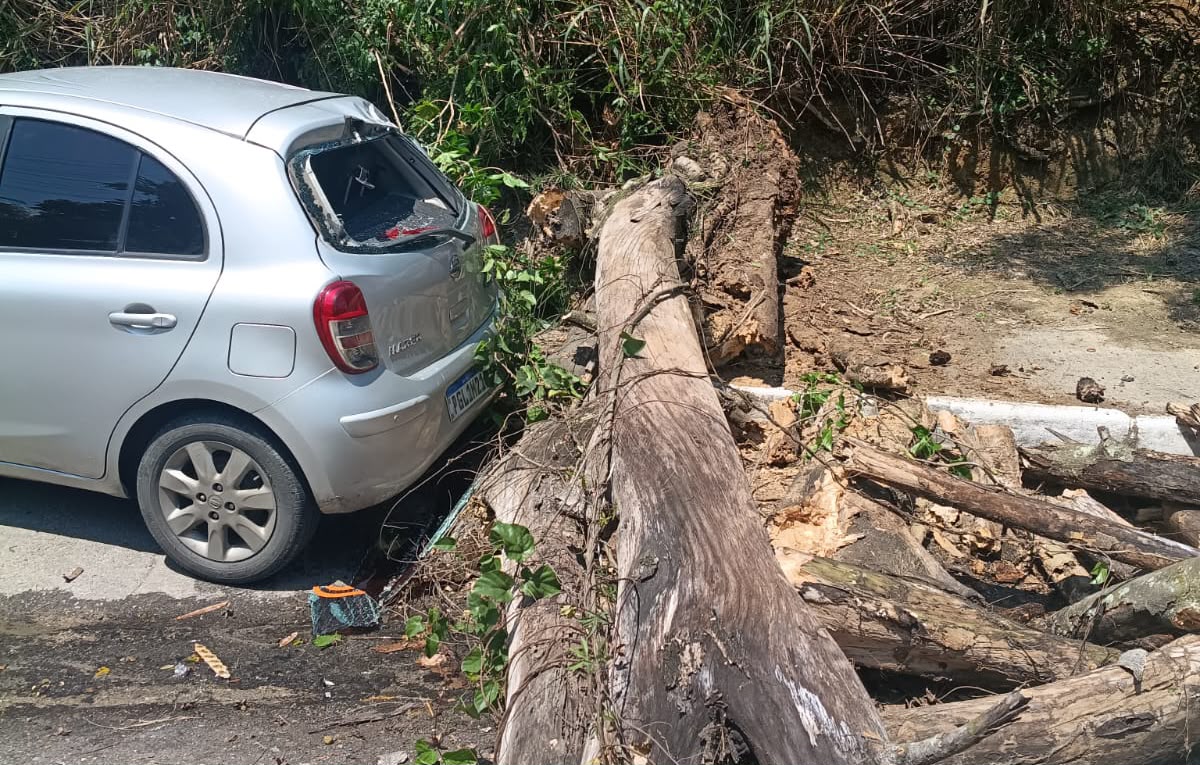 ÁRVORE CAI SOBRE CARRO NO CARAMUJO E MOTORISTA QUESTIONA PREJUÍZO