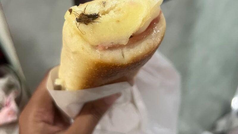 Cliente Relata Possível Presença de Barata em Lanche e pede Fiscalização Sanitária em Estabelecimento Próximo ao Terminal de Niterói