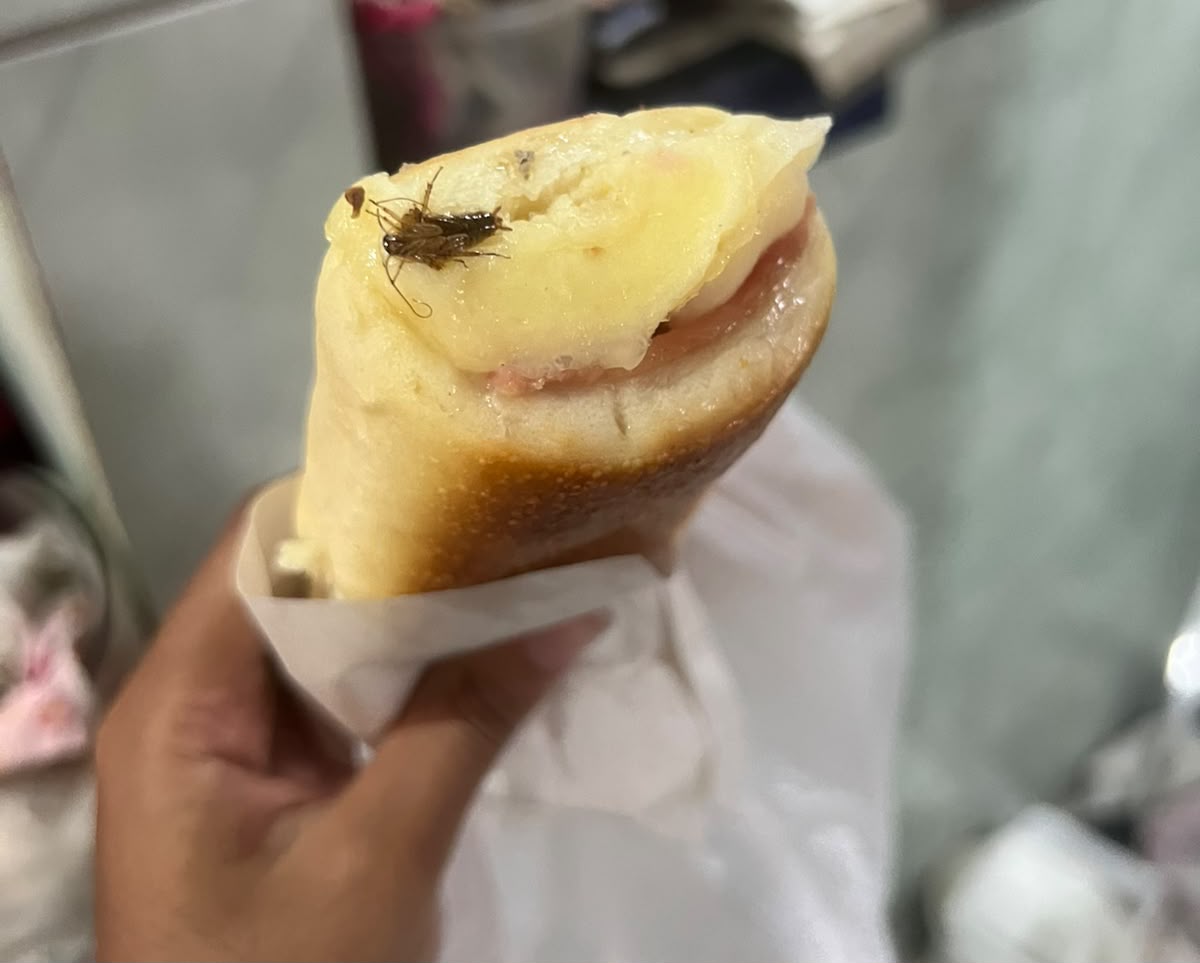 Cliente Relata Possível Presença de Barata em Lanche e pede Fiscalização Sanitária em Estabelecimento Próximo ao Terminal de Niterói