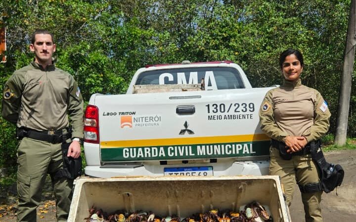 Guarda Ambiental de Niterói resgata 450 caranguejos-uçá comercializados irregularmente e reforça proteção da espécie durante o defeso