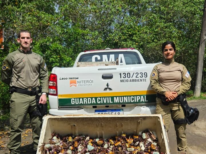 Guarda Ambiental de Niterói resgata 450 caranguejos-uçá comercializados irregularmente e reforça proteção da espécie durante o defeso